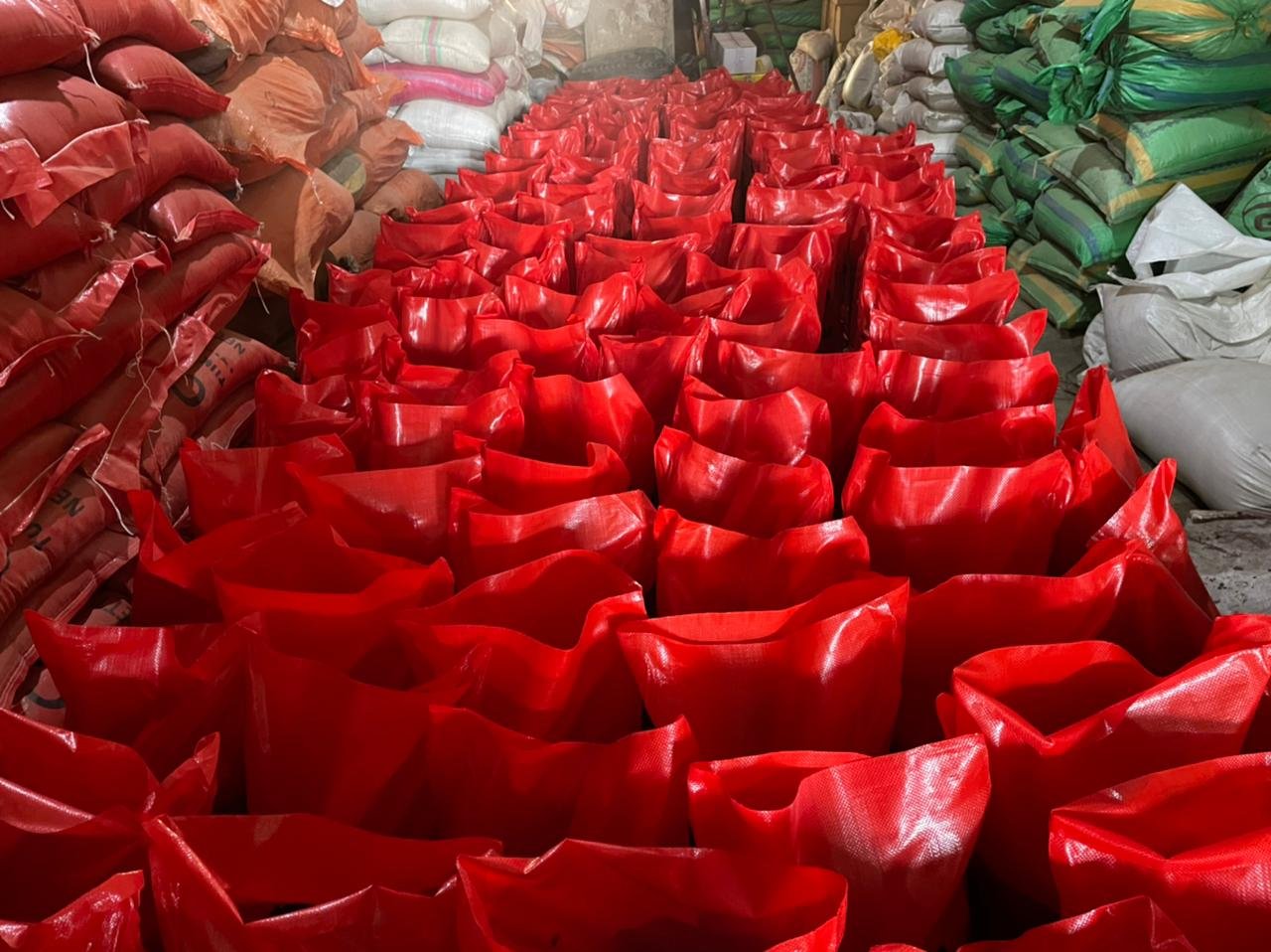 Basil Seeds packed in 25kg bags for export